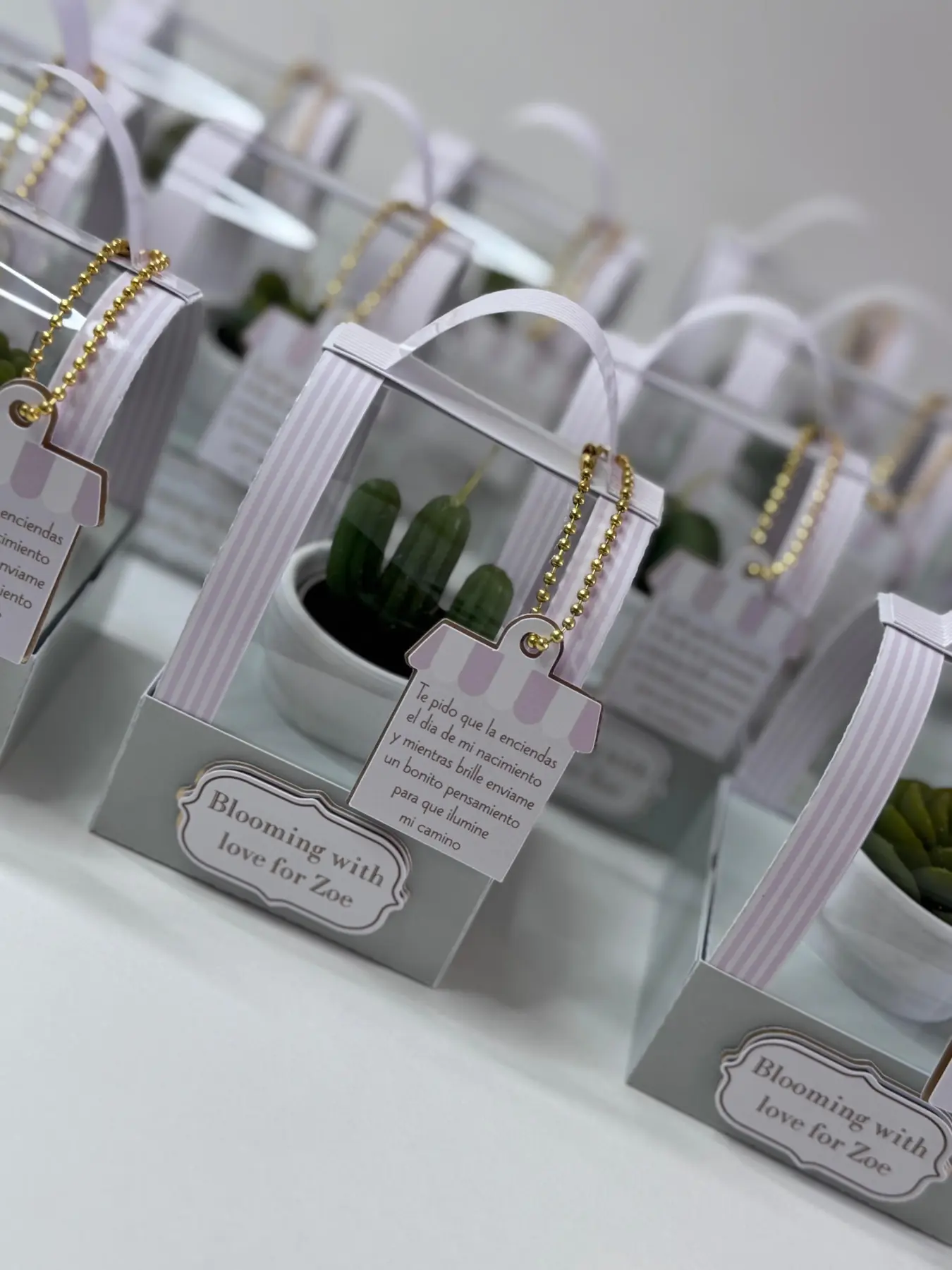 Detalles para invitados con cactus pequeños, etiquetas y empaques transparentes